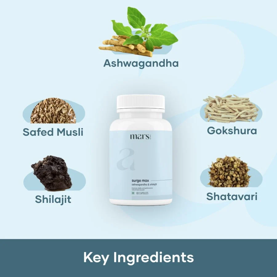 Energy Booster Supplements | Natural Testobooster | Safed Musli Capsules - Image 2
